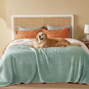 Waterproof Blanket for Bed Soft Sherpa Fleece Throw,Queen 90x86 | Plush Cozy Calming Reversible Dog Blankets for Large Senior Dogs,Warm Bed Couch Cover,Pet Furniture Protector,Light Green Waterproof Blanket for Bed Soft Sherpa Fleece Throw,Queen 90x86 | Plush Cozy Calming Reversible Dog Blankets for Large Senior Dogs,Warm Bed Couch Cover,Pet Furniture Protector,Light Green