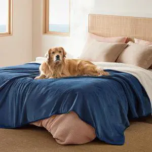 Waterproof Blanket for Bed Soft Sherpa Fleece Throw,Queen 90x86 | Plush Cozy Calming Reversible Dog Blankets for Large Senior Dogs,Warm Bed Couch Cover,Pet Furniture Protector,Blue Waterproof Blanket for Bed Soft Sherpa Fleece Throw,Queen 90x86 | Plush Cozy Calming Reversible Dog Blankets for Large Senior Dogs,Warm Bed Couch Cover,Pet Furniture Protector,Blue