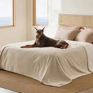 Waterproof Blanket for Bed Soft Sherpa Fleece Throw,King 108"x86" | Plush Cozy Calming Reversible Dog Blankets for Large Senior Dogs,Warm Bed Couch Cover,Pet Furniture Protector,Cream Waterproof Blanket for Bed Soft Sherpa Fleece Throw,King 108"x86" | Plush Cozy Calming Reversible Dog Blankets for Large Senior Dogs,Warm Bed Couch Cover,Pet Furniture Protector,Cream