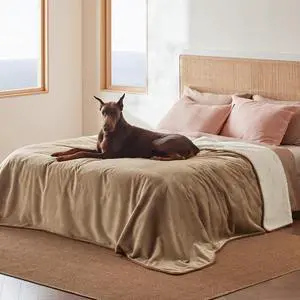 Waterproof Blanket for Bed Soft Sherpa Fleece Throw,King 108"x86" | Plush Cozy Calming Reversible Dog Blankets for Large Senior Dogs,Warm Bed Couch Cover,Pet Furniture Protector,Camel Waterproof Blanket for Bed Soft Sherpa Fleece Throw,King 108"x86" | Plush Cozy Calming Reversible Dog Blankets for Large Senior Dogs,Warm Bed Couch Cover,Pet Furniture Protector,Camel