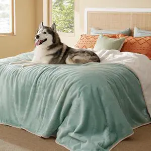 Waterproof Blanket for Bed Soft Sherpa Fleece Throw,King 108"x86" | Plush Cozy Calming Reversible Dog Blankets for Large Senior Dogs,Warm Bed Couch Cover,Pet Furniture Protector,Light Green Waterproof Blanket for Bed Soft Sherpa Fleece Throw,King 108"x86" | Plush Cozy Calming Reversible Dog Blankets for Large Senior Dogs,Warm Bed Couch Cover,Pet Furniture Protector,Light Green