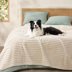 ComfyFleece Waterproof Blanket for Bed, Queen86"x108" Cream | Soft Plush Bed Couch Cover Corduroy Fleece for Furniture Protector, Cozy Calming Reversible Dog Blankets for Large Dogs Pet ComfyFleece Waterproof Blanket for Bed, Queen86"x108" Cream | Soft Plush Bed Couch Cover Corduroy Fleece for Furniture Protector, Cozy Calming Reversible Dog Blankets for Large Dogs Pet