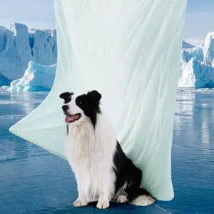 Cooling Blanket for Bed Breathable Throw Q-MAX>0.4, Twin 60x80 | Air-Core FillLightweight Pet Cat Couch Cover Washable, Cold Blanket for Summer, Dog Cooling Mat Soft, Pale Jade Cooling Blanket for Bed Breathable Throw Q-MAX>0.4, Twin 60x80 | Air-Core FillLightweight Pet Cat Couch Cover Washable, Cold Blanket for Summer, Dog Cooling Mat Soft, Pale Jade