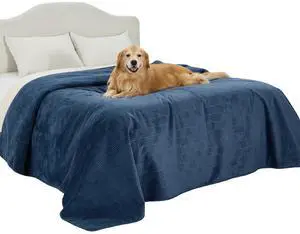 Waterproof Bed Cover for Bed and Dogs Quick Drying, 82x102IN | Waterproof Blanket Washable for Large Dogs King Bed Cozy, Lightweight Furniture Protector for Pet Cat, Ash Grey Waterproof Bed Cover for Bed and Dogs Quick Drying, 82x102IN | Waterproof Blanket Washable for Large Dogs King Bed Cozy, Lightweight Furniture Protector for Pet Cat, Ash Grey