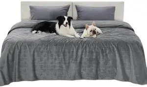Waterproof Bed Cover for Bed and Dogs Quick Drying82x120IN | Waterproof Blanket Washable for Large Dogs Cal King Bed Cozy, Lightweight Furniture Protector for Pet Cat, Ash Grey Waterproof Bed Cover for Bed and Dogs Quick Drying82x120IN | Waterproof Blanket Washable for Large Dogs Cal King Bed Cozy, Lightweight Furniture Protector for Pet Cat, Ash Grey