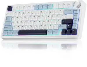 F75 75% Wireless Mechanical Keyboard, Hot Swappable Creamy Keyboard, Pre-lubed Reaper Switches, 2.4GHz/Type-C/BT5.0, RGB Backlit Gaming Keyboards(White & Blue) F75 75% Wireless Mechanical Keyboard, Hot Swappable Creamy Keyboard, Pre-lubed Reaper Switches, 2.4GHz/Type-C/BT5.0, RGB Backlit Gaming Keyboards(White & Blue)