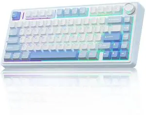 F75 75% Wireless Mechanical Keyboard, Hot Swappable Creamy Keyboard, Pre-lubed Greywood Switches RGB Backlit Gaming Keyboards, 2.4GHz/Type-C/BT5.0(Salt White Blue) F75 75% Wireless Mechanical Keyboard, Hot Swappable Creamy Keyboard, Pre-lubed Greywood Switches RGB Backlit Gaming Keyboards, 2.4GHz/Type-C/BT5.0(Salt White Blue)