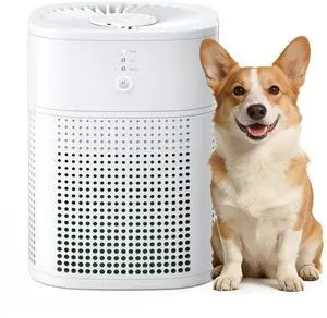 Air Purifiers for Home, Covers Up to 300 ft², High Torque Motor, 4 Mode, Remove Dust Smoke Odor, Essential Oil Diffuser, Air Purifiers for Bedroom, Office, Sleep Mode, Whisper Quiet, White Air Purifiers for Home, Covers Up to 300 ft², High Torque Motor, 4 Mode, Remove Dust Smoke Odor, Essential Oil Diffuser, Air Purifiers for Bedroom, Office, Sleep Mode, Whisper Quiet, White