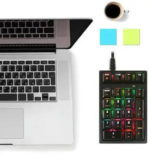 21 Key Digital Keyboard Wired Ergonomic Mechanical Keyboard Gaming Sensitive USB 2.0 Driver Free for Office Business for Game PC 21 Key Digital Keyboard Wired Ergonomic Mechanical Keyboard Gaming Sensitive USB 2.0 Driver Free for Office Business for Game PC