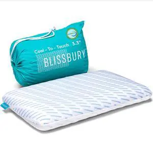 BLISSBURY 3.3 Inch Cooling Super Thin Pillow for Sleeping | Flat for Stomach & Back Sleeper | Cooling Memory Foam to Provide Comfort When Resting | Removable Cool-to-Touch Pillow Case BLISSBURY 3.3 Inch Cooling Super Thin Pillow for Sleeping | Flat for Stomach & Back Sleeper | Cooling Memory Foam to Provide Comfort When Resting | Removable Cool-to-Touch Pillow Case