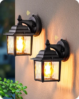 EDISHINE 2 Pack Outdoor Wall Lights, Modern Dusk to Dawn Black Porch Light EDISHINE 2 Pack Outdoor Wall Lights, Modern Dusk to Dawn Black Porch Light