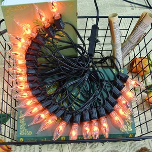 PASUTO 27.8Ft Halloween Decor Lights Flickering Flame String Lights with 25+4 Pack Clear Glass Flame Light Bulbs for Fall Decor Halloween Decorations Indoor Outdoor Home Party Fireplace, E12 Base PASUTO 27.8Ft Halloween Decor Lights Flickering Flame String Lights with 25+4 Pack Clear Glass Flame Light Bulbs for Fall Decor Halloween Decorations Indoor Outdoor Home Party Fireplace, E12 Base