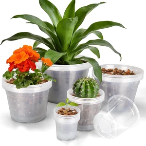 35 Pack 4/6/8/10/12 Inch Clear Nursery Pots with Drainage Hole 35 Pack 4/6/8/10/12 Inch Clear Nursery Pots with Drainage Hole