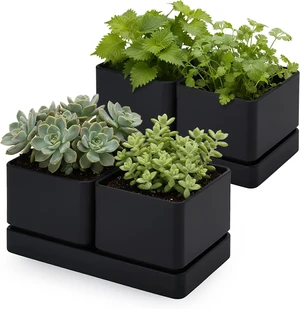 D'vine Dev 2-Pack Herb Garden Planter Set with Saucer, Black, 76-Q-B-2 D'vine Dev 2-Pack Herb Garden Planter Set with Saucer, Black, 76-Q-B-2