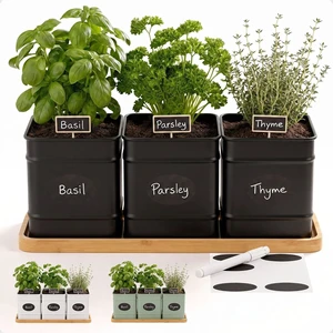 Herb Planter Indoor, 3-pc Herb Pots w/ Drainage Holes, Bamboo Tray & Labels Herb Planter Indoor, 3-pc Herb Pots w/ Drainage Holes, Bamboo Tray & Labels