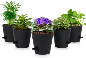 5 Pack 5 Inch African Violet Pots Self Watering, Self-Watering Planters with Drainage Holes & Reservoir, Black Plastic Pots for Indoor Outdoor Plants, Succulents & Flowers 5 Pack 5 Inch African Violet Pots Self Watering, Self-Watering Planters with Drainage Holes & Reservoir, Black Plastic Pots for Indoor Outdoor Plants, Succulents & Flowers