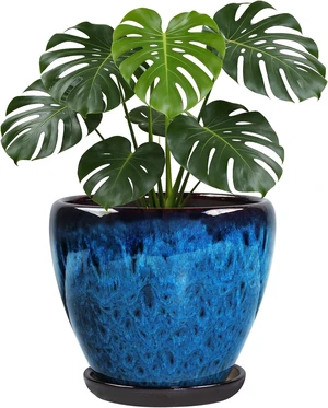 Ceramic Plant Pots With Saucer & Drainage Hole, 10 inch Indoor Flower Pots