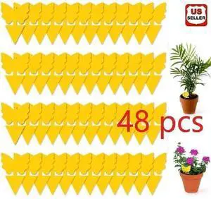 Sticky Fruit Fly Traps, Fungus Gnat Killer Trap use for Indoor Outdoor, 48 pcs Sticky Fruit Fly Traps, Fungus Gnat Killer Trap use for Indoor Outdoor, 48 pcs