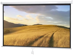 100" Diagonal Projection 16:9 Projector Screen HD Manual Pull Down Home Theater 100" Diagonal Projection 16:9 Projector Screen HD Manual Pull Down Home Theater