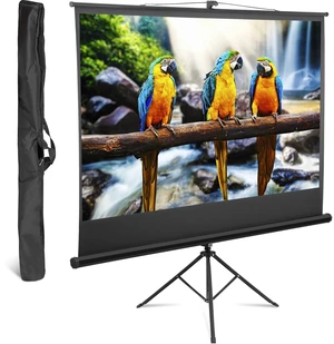 Portable Projector Screen with Stand 84" 16:9 Projection Screen w/ Carrying Bag Portable Projector Screen with Stand 84" 16:9 Projection Screen w/ Carrying Bag