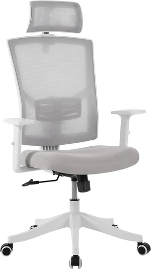Ergonomic Executive Chair with Lumbar Support Mesh Home Office Chair Desk Chair Ergonomic Executive Chair with Lumbar Support Mesh Home Office Chair Desk Chair