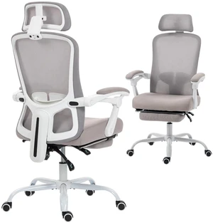 Ergonomic Office Chair, Reclining Mesh Computer Chair, Grey Ergonomic Office Chair, Reclining Mesh Computer Chair, Grey