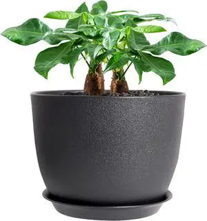UOUZ 12inch Large Plant Pot, Modern Plastic Planter with High Driange Holes and Saucer for Indoor Outdoor Garden Plants and Flowers, Black UOUZ 12inch Large Plant Pot, Modern Plastic Planter with High Driange Holes and Saucer for Indoor Outdoor Garden Plants and Flowers, Black