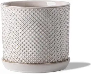 5.8 Inch Plant Pot: Ceramic Planter with Drainage Hole & Saucer for Indoor Outdoor Plants - Flowerpot with Bonded Tray for Home Office - Beaded Embossed Style, Cream White 5.8 Inch Plant Pot: Ceramic Planter with Drainage Hole & Saucer for Indoor Outdoor Plants - Flowerpot with Bonded Tray for Home Office - Beaded Embossed Style, Cream White