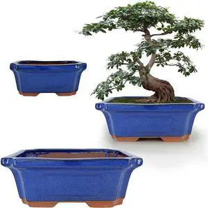 MUZHI 3 Pack Ceramic Rectangular Bonsai Tree Planter Pot Set 6+7+9, Cactus Succulent Planter Blue Glazed with Mesh Hole Screens MUZHI 3 Pack Ceramic Rectangular Bonsai Tree Planter Pot Set 6+7+9, Cactus Succulent Planter Blue Glazed with Mesh Hole Screens
