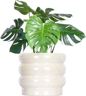 8 Inch Ceramic Plant Pots for Indoor Plants, White Flower Pot, Rainbow Pearl Glaze Planter with Planters for Plants with Drainage Hole 8 Inch Ceramic Plant Pots for Indoor Plants, White Flower Pot, Rainbow Pearl Glaze Planter with Planters for Plants with Drainage Hole