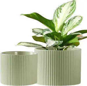 Ceramic Plant Pots, 8.1 + 6 Inch Planters for Indoor Plants, Modern Flower Pot for Plant with Drainage, Medium Cylinder Flower Pots for Indoor/Outdoor, House Plants, Matte Green Ceramic Plant Pots, 8.1 + 6 Inch Planters for Indoor Plants, Modern Flower Pot for Plant with Drainage, Medium Cylinder Flower Pots for Indoor/Outdoor, House Plants, Matte Green