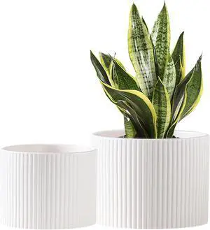Ceramic Plant Pots, 8.1 + 6 Inch Planters for Indoor Plants, Modern Flower Pots for Plants with Drainage, Medium Cylinder Flower Pots for Indoor Plants, House Plants, Matte White Ceramic Plant Pots, 8.1 + 6 Inch Planters for Indoor Plants, Modern Flower Pots for Plants with Drainage, Medium Cylinder Flower Pots for Indoor Plants, House Plants, Matte White