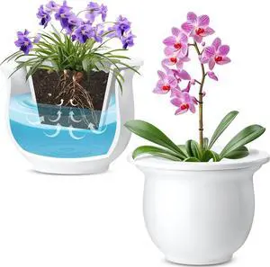 Suclain 2 Pack Ceramic African Violet Pots Self Watering Plant Pot Effortless Self Watering Plant Flower for Busy Lovers, Indoor(White,6.5 Inch) Suclain 2 Pack Ceramic African Violet Pots Self Watering Plant Pot Effortless Self Watering Plant Flower for Busy Lovers, Indoor(White,6.5 Inch)