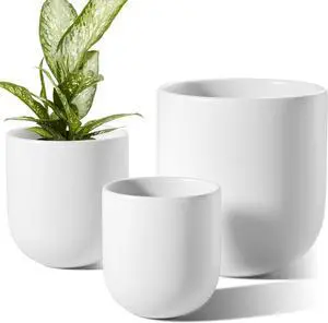 LE TAUCI 6+8+10 Inch Ceramic Pots for Plants, Plant Pots Indoor with Drainage Hole and Plug, Planter Pots for Home Office Room Patio, Set of 3, White LE TAUCI 6+8+10 Inch Ceramic Pots for Plants, Plant Pots Indoor with Drainage Hole and Plug, Planter Pots for Home Office Room Patio, Set of 3, White