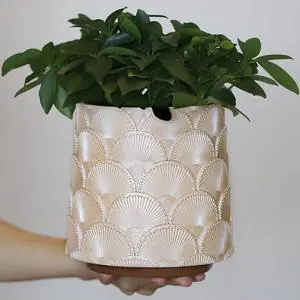 GUGUGO Pearl Beige Scale Planter, Cute Unique Plant Pot with Drainage, Eclectic Colorful Small Flower Planters Pots for Indoor & Outdoor Plants, Rainbow Funny Succulent Gardening Pot Gifts GUGUGO Pearl Beige Scale Planter, Cute Unique Plant Pot with Drainage, Eclectic Colorful Small Flower Planters Pots for Indoor & Outdoor Plants, Rainbow Funny Succulent Gardening Pot Gifts