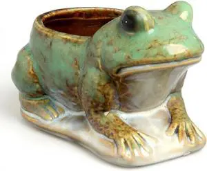 Hill's Park's 6.5" x 4" Frog Planter - Holds 3" Pot - Unique Animal Plant Pot for Indoor Outdoor Home Garden Decor Hill's Park's 6.5" x 4" Frog Planter - Holds 3" Pot - Unique Animal Plant Pot for Indoor Outdoor Home Garden Decor