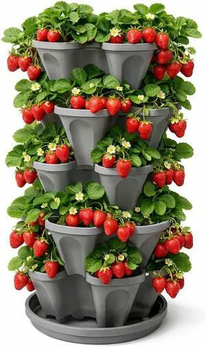 5-Tier Stackable Strawberry Garden 24 Quart Indoor / Outdoor Stacking Planter with Drip Saucer Grow Herbs, Strawberries, and Flowers from The Kitchen or Backyard Plant and Stack! Easy Gardening 5-Tier Stackable Strawberry Garden 24 Quart Indoor / Outdoor Stacking Planter with Drip Saucer Grow Herbs, Strawberries, and Flowers from The Kitchen or Backyard Plant and Stack! Easy Gardening
