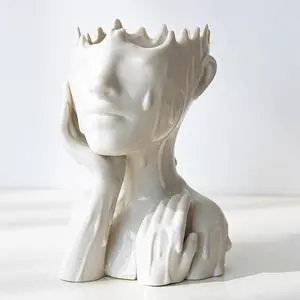 COTYNI Face Planters Pots Head Planter, Succulent Planters for Indoor Outdoor Plants, Boho Lady Face Flower Pots with Drainage Hole, White Ceramic pots for Plants, Large Plant Pots Gift COTYNI Face Planters Pots Head Planter, Succulent Planters for Indoor Outdoor Plants, Boho Lady Face Flower Pots with Drainage Hole, White Ceramic pots for Plants, Large Plant Pots Gift