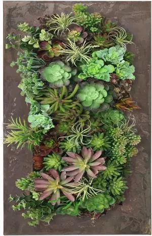 Modern Home Living Wall Galvanized Steel/Zinc Succulent Planter, Wall Mounted Garden Pocket Planter (18 Pocket, Rust Zinc) Modern Home Living Wall Galvanized Steel/Zinc Succulent Planter, Wall Mounted Garden Pocket Planter (18 Pocket, Rust Zinc)