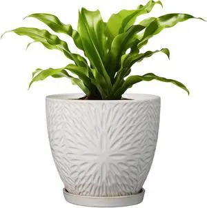 G EPGardening 8 Inch Ceramic Plant Pot with Drainage Hole and Saucer Round Planter Pot for Indoor Outdoor Plants Modern Large Flower Pot White G EPGardening 8 Inch Ceramic Plant Pot with Drainage Hole and Saucer Round Planter Pot for Indoor Outdoor Plants Modern Large Flower Pot White
