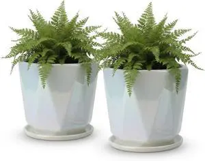 Coco Andrea Ceramic Plant Pots for Indoor Plants with Drainage & Saucers - 5-inch Iridescent White Planters for Houseplants, Succulents & Flowers - 2-Piece Housewarming Gift Set (2, Large) Coco Andrea Ceramic Plant Pots for Indoor Plants with Drainage & Saucers - 5-inch Iridescent White Planters for Houseplants, Succulents & Flowers - 2-Piece Housewarming Gift Set (2, Large)