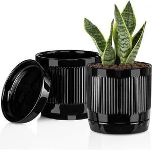 Vanavazon 6 Inch Glazed Ceramic Plant Pots with Drainage Hole and Saucer, Cylinder Indoor Planters for All House Plants, Modern Decor for Home & Office, Set of 2 (Black) Vanavazon 6 Inch Glazed Ceramic Plant Pots with Drainage Hole and Saucer, Cylinder Indoor Planters for All House Plants, Modern Decor for Home & Office, Set of 2 (Black)