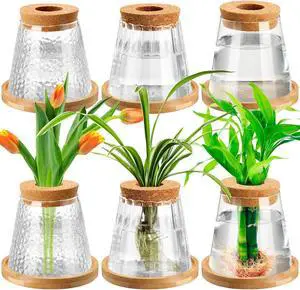 Beeveer 6 Pcs Plants Propagation Station Separated Desktop Plant Terrarium with Wood Lid and Stand, 3 Sizes Glass Planter Propagated Jars Propagation Vases for Indoor Home (Cute Style) Beeveer 6 Pcs Plants Propagation Station Separated Desktop Plant Terrarium with Wood Lid and Stand, 3 Sizes Glass Planter Propagated Jars Propagation Vases for Indoor Home (Cute Style)
