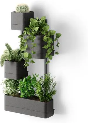 Umbra Cubiko Wall Planter with 4 Lightweight and Durable Pots (Black) Umbra Cubiko Wall Planter with 4 Lightweight and Durable Pots (Black)