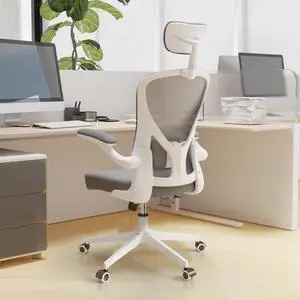Ergonomic Office Desk Chair High Back Mesh Computer Chair | 360° Swivel Adjustable Lumbar Support & Flip-Up Armrests capacity 300 lbs capacity Ergonomic Office Desk Chair High Back Mesh Computer Chair | 360° Swivel Adjustable Lumbar Support & Flip-Up Armrests capacity 300 lbs capacity