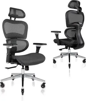 Nouhaus Ergo3D Ergonomic Office Chair Lumbar Support Mesh Office Chair with 4D Adjustable Armrest, Adjustable Headrest and Wheels, Mesh High Back Home Office Desk Chairs(Black) Nouhaus Ergo3D Ergonomic Office Chair Lumbar Support Mesh Office Chair with 4D Adjustable Armrest, Adjustable Headrest and Wheels, Mesh High Back Home Office Desk Chairs(Black)