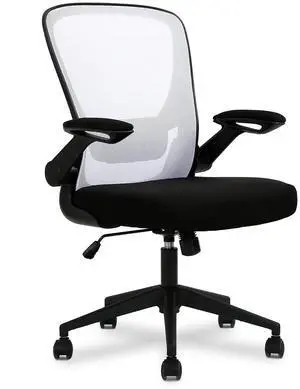 Dkeli Home Office Chair White Ergonomic Desk Chair with Adjustable Lumbar Support & Flip-up Armrests Mesh Computer Chair with Thickened Cushion Swivel Executive Chair for Adults Dkeli Home Office Chair White Ergonomic Desk Chair with Adjustable Lumbar Support & Flip-up Armrests Mesh Computer Chair with Thickened Cushion Swivel Executive Chair for Adults