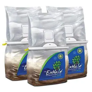 CO2 Original Grow Bag (Pack of 3) - Patented Mycelium Strain for Indoor Grow Rooms, & Carbon Dioxide Enrichment - Boosts CO2 Production for 6 Months - 4 lbs. Each CO2 Original Grow Bag (Pack of 3) - Patented Mycelium Strain for Indoor Grow Rooms, & Carbon Dioxide Enrichment - Boosts CO2 Production for 6 Months - 4 lbs. Each