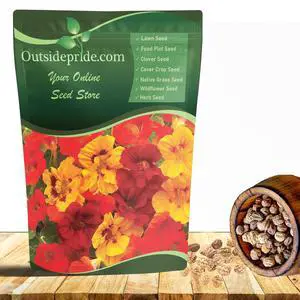 Jewel Mix Nasturtium Seeds - 5 lbs. Annual, Easy to Grow & Versatile, Flower Seeds for Planting Vibrant Blooms, Ideal for Gardens, Borders, and Pollinator Gardens Jewel Mix Nasturtium Seeds - 5 lbs. Annual, Easy to Grow & Versatile, Flower Seeds for Planting Vibrant Blooms, Ideal for Gardens, Borders, and Pollinator Gardens