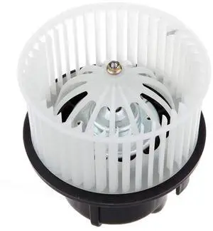 AC Blower Motor Compatible with Volvo 2011-2016 S60 /2007-2016 S80 /2008-2010 V70 /2010 2011 2012 2013 2014 2015 16 XC60 Front HVAC Heater Replacement Blower Assembly 700254, 75032,PM4100,PM4034 AC Blower Motor Compatible with Volvo 2011-2016 S60 /2007-2016 S80 /2008-2010 V70 /2010 2011 2012 2013 2014 2015 16 XC60 Front HVAC Heater Replacement Blower Assembly 700254, 75032,PM4100,PM4034